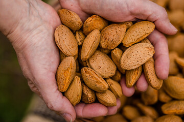 Almond nuts in a basket on a wooden background