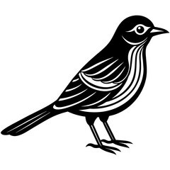    Bird silhouette  vector illustration.
