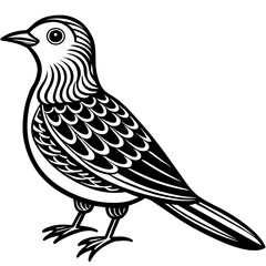 Fototapeta premium Bird silhouette vector illustration. 