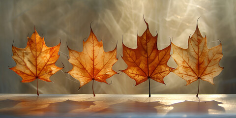 Naklejka na ściany i meble maple leaf silhouettes. generative ai 