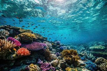 Naklejka na ściany i meble A vibrant underwater scene capturing the Great Barrier Reef in Australia , AI generated