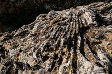 Sima del Gato, Sierra de Cabrejas, Soria, Autonomous Community of Castilla, Spain, Europe