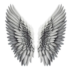 Fototapeta premium angel wing white colour front view isolated on transparent background