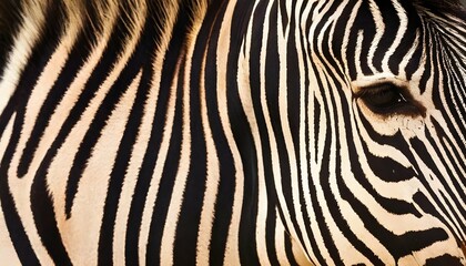 A-Close-Up-Of-A-Zebras-Intricate-Stripe-Pattern-