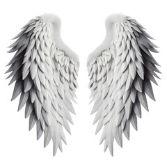 realistic wing white colour front view isolated on transparent background