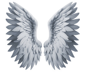 Obraz premium white colour wing front view isolated on transparent background