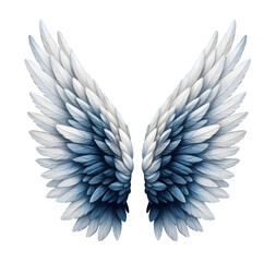wing realistic angel feather isolated on transparent background
