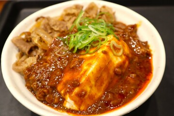 麻婆豆腐と肉