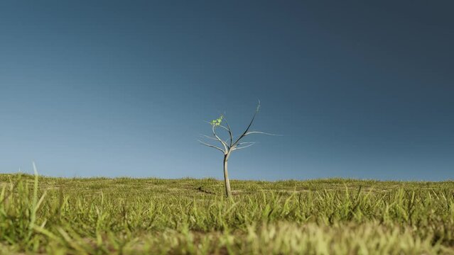 Growing tree as climate change concept 3d render