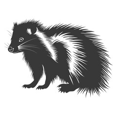 Obraz premium Silhouette skunk animal black color only