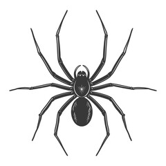 Silhouette spider animal black color only