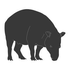 Obraz premium Silhouette tapir animal black color only