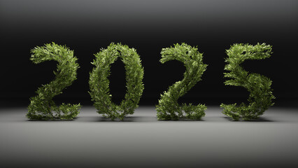 2025 natural flyer for upcoming new year as 3D illustration