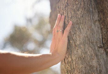 female hand gently touches bark of old olive tree. embracing fresh air and engaging in outdoor...