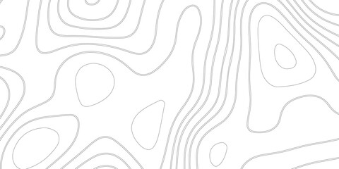 Topographic gradient line map. Abstract circle lines background. Abstract blank detailed topographic contour map. Background of the topographic map. Line topography map contour background.