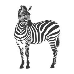 Silhouette zebra animal black color only