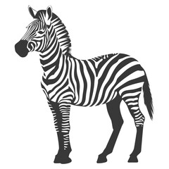 Silhouette zebra animal black color only