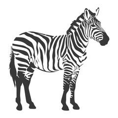 Obraz premium Silhouette zebra animal black color only