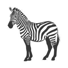 Silhouette zebra animal black color only