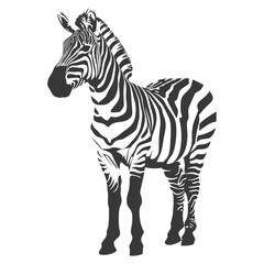Fototapeta na wymiar Silhouette zebra animal black color only