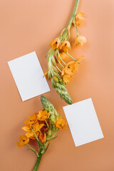 Aesthetic branding or invitation cards template. Blank paper invitation card sheets with empty mock up copy space, orange star flower stem on pale peachy background - 778767172