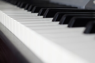 Keys of a piano keyboard
