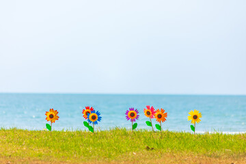 Colorful cute paper turbine on the green grass at sand beach of sea on the island. Sunflower Colorful cute paper turbine.