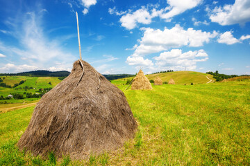 haystack or sheaf on the grassy field. carpathian rural landscape with rolling hills on a sunny day in summer