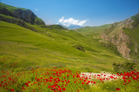 Azerbaijan mountains. Spring in Guba region of Azerbaijan. Beautiful landscape with poppies, green hills, flowers and Moutains. Road to touristic place in Azerbaijan - Khinalug (Xinalig) village 