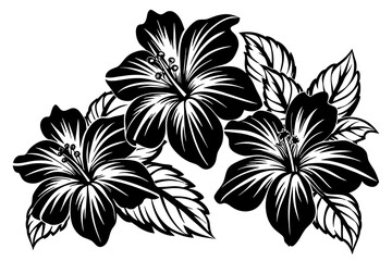 set-of-hibiscus-flowers-vector illustration