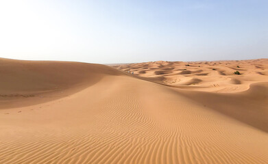 Fototapeta na wymiar The extraordinary beauty of a sand dune in the desert, a desert landscape