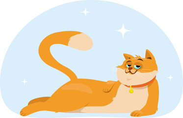 cute cat lying on the floor