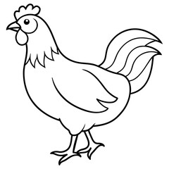    chicken vector illustration with line art.
