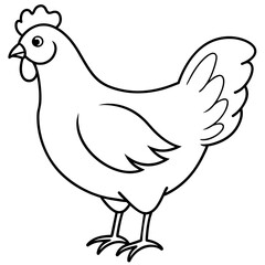    chicken vector illustration with line art.
