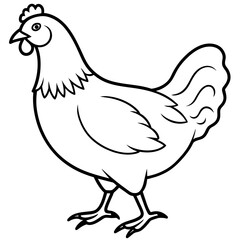Fototapeta premium chicken vector illustration with line art. 