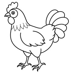    chicken vector illustration with line art.
