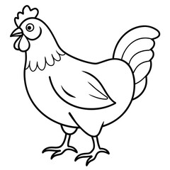    chicken vector illustration with line art.

