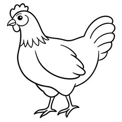    chicken vector illustration with line art.

