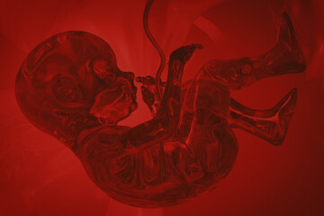 Stylized illustration of a human embryo