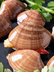 Frutti di mare su un tavolo pronti per cucinare la pasta italiana. In Italia vengono chiamati Fasolari. Il nome scientifico è Callista chione.