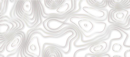 Abstract topographic contours 3d map background .topographic line texture background .monochrome image .stylized height of the topographic map contour in lines.