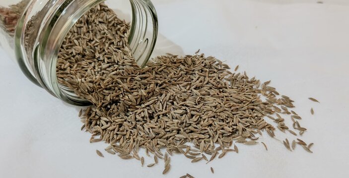 Cumin seeds in a bowl