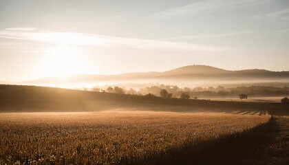 Fototapeta na wymiar an early morning farmer s field dew on crops sunrise casting a golden glow tranquil and fertile landscape resplendent