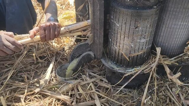 The sugarcane Belna is an amazing technology. diesel engine. A man is putting cut sugarcane into a Belna and extracting sugarcane juice. Beautiful 4K footage.