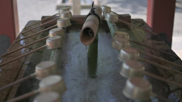 手水舎に落ちる清らかな水