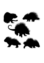 Porcupine mammal animal silhouettes