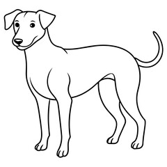      Dog vector illustration with line art.

