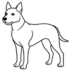      Dog vector illustration with line art.
