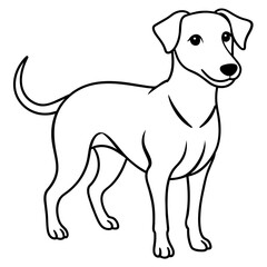      Dog vector illustration with line art.
