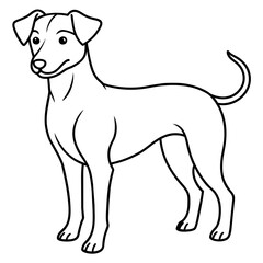      Dog vector illustration with line art.
